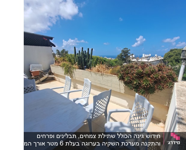 קקטוסים וצמחים בעציצים על מרפסת